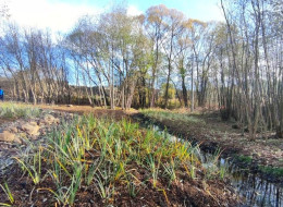 Gromadzenie i ponowne wykorzystywanie wody opadowej jest jednym z wyzwań dla architektów krajobrazu. Odpowiednio zaprojektowany obieg wody i umiejętne wykorzystanie warunków terenowych może pozytywnie wpłynąć na otoczenie i zapewnić roślinom właściwe nawodnienie, bez żadnych dodatkowych zabiegów. Jeden z naturalistycznych ogrodów deszczowych powstał w Szczytnej w powiecie Kłodzkim, gdzie woda z kanalizacji burzowej zostaje wykorzystana do nawadniania roślin. Projekt „miejskich mokradeł” przygotowany został przez Paulę Wojtyłę-Tymińską z pracowni AP Ogrody.