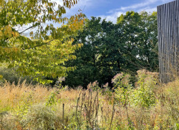Naturalny ogród zaaranżowany przez projektantów ze studia Elks-Smith położony jest przy nowoczesnej nieruchomości w New Forest w południowej Anglii. Jest on nie tylko miejscem relaksu, ale także spójnej integracji z otaczającym go krajobrazem. Położone nad poziomem gruntu bliźniacze domy mobilne wznoszą się nad naturalną łąką, za którą rozciąga się strumyk z niewielkim stawem. Szara, wykonana z drewna elewacja domów, stanowi mocne, a zarazem eleganckie tło dla zieleni łąki.