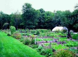 Wyrażenie „farm to table” staje się coraz bardziej popularne i wcielane w życie. Serwowanie posiłków prosto z pobliskiego ogrodu to największa przyjemność i satysfakcja. Warzywne ogrody przydomowe zyskują coraz większe uznawanie. Również restauracje oraz obiekty serwujące żywność i posiłki stanęły przed wyzwaniem stawienia czoła obecnym wymaganiom społeczeństwa. 