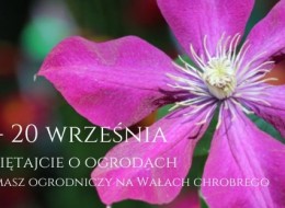 Zapraszamy do udziału w wystawie ogrodnicznej i kiermaszu „Pamiętajcie o ogrodach” na Wałach Chrobrego w Szczecinie. Sprawdź.
