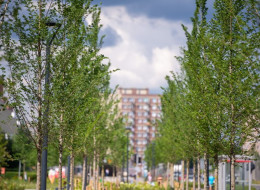 Europejska Nagroda Green Cities jest ważnym narzędziem promocji i inspiracją dla innych miast w Europie, które dążą do tworzenia bardziej przyjaznych dla środowiska i ludzi przestrzeni miejskich. Promocja realizacji zgłoszonych do konkursu to szansa na rozgłos dla miasta, projektanta i inwestora, ale także podkreślenie jak istotne są obecnie działania na rzecz ochrony środowiska i zrównoważonego rozwoju. Ponadto udział 
w konkursie udowodnił też, że polskie inwestycje stoją na bardzo wysokim europejskim poziomie, czego dowodem jest osiągnięcie 2. miejsca przez Czyżyny Park z Krakowa 
w zeszłorocznej edycji konkursu. 
