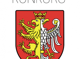 Przedmiotem konkursu jest opracowanie koncepcji zagospodarowania terenów zielonych w obrębie Drogi Krajowej Nr 28, terenu zieleni przy ul. Mickiewicza, skweru przy ul. Walslebena oraz skweru przy skrzyżowaniu ulic Podkarpacka – Pużaka w Krośnie.