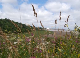 Krajobrazowy park o nazwie Port Sunlight River Park zaprojektowany został przez Gillespies na dawnym wysypisku odpadów Bromborough w Anglii. Jest to przykład zwrócenia środowisku jego przyrodniczej i naturalnej wartości. Odwiedzający, pierwszy raz od kilkudziesięciu lat mogą doświadczyć niezrównanych widoków nadbrzeża rzeki Mersey przepływającej przez Liverpool. Otwarcie nastąpiło w połowie sierpnia 2014 roku. 
