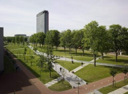 Projekt Mekel Parku w Holandii jest przykładem podjęcia bardzo dobrej decyzji i rozwiązań w przekształceniu szerokiej ulicy w przyjazny park. Droga dzieliła kampus Uniwersytetu Technicznego w Delft na pół. Obecnie otoczenie ulicy prezentuje się w postaci pięknego parku urozmaicającego przestrzeń oraz oferującego wyższą jakość życia użytkowników.
