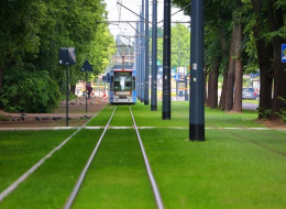 Łódź realizuje szeroko zakrojony projekt zazielenienia miasta, którego głównym celem jest poprawa jakości życia mieszkańców poprzez rozbudowę terenów zielonych i ograniczenie powierzchni pokrytych betonem. W 2025 r. planowane jest posadzenie 60 tysięcy drzew, stworzenie nowych parków oraz modernizacja istniejących przestrzeni miejskich w oparciu o rozwiązania ekologiczne.