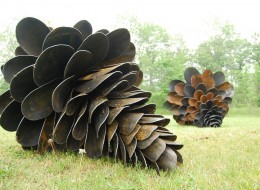 Nowoczesne rzeźby w postaci kutych z metalu szyszek są dziełem artysty Floyda Elzinga. Pojawiły się w krajobrazie Ontario w Kanadzie. Metal dla artysty to materiał plastyczny, szybki w obróbce i odporny na warunki klimatyczne. Dzieła twórcy są silnie związane z naturą, a każde z nich, jak np. metalowe rzeźby w kształcie szyszek opowiadają własną historię.