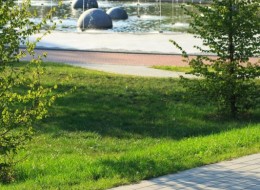 Największym problemem dużych miast jest zbyt wysoka dysproporcja pomiędzy zabudowaniami, a terenami zielonymi. Sposobem na to jest stworzenie kieszonkowych parków, które pomogą rozwiązać kwestię aranżowania nieużytków w przestrzeni miejskiej.