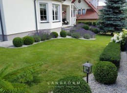 Bujnie i aromatycznie – tak prezentują się nasadzenia lawendy w ogrodzie. Najlepszy efekt osiąga się wtedy, gdy wykorzysta się nie jeden, a kilka lub kilkanaście krzewów, ułożonych w przemyślane kompozycje. Tego typu aranżacje często spotykane są w ogrodach typu prowansalskiego. Lawenda została jednym z głównych bohaterów projektu lubelskiego ogrodu, wykonanego przez architekta krajobrazu Pawła Bednarczyka ze studia Landform.