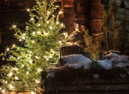 Boże Narodzenie to czas, w którym szczególnie dbamy o wygląd naszego otoczenia. Miasta zaczynają „błyszczeć” od świątecznych iluminacji, w galeriach pojawiają się choinki, a nasze domy zdobią światełka oraz girlandy. To znak, że gwiazdka zbliża się wielkimi krokami.