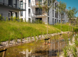 Jury konkursu Green Building Awards 2023 wyróżniło Osiedle Beauforta realizowane przez Euro Styl w Pogórzu k. Gdyni w kategorii ‘Najlepsza ekologiczna zabudowa mieszkaniowa wielorodzinna’. Projekt inwestycji, w tym ogrodów deszczowych z systemem retencji przygotowała pracownia Rayss Group. Konkurs organizowany jest przez Polskie Stowarzyszenie Budownictwa Ekologicznego PLGBC (Polish Green Building Council), a jego celem jest wyróżnienie zaangażowania firm w rozwój zrównoważonego budownictwa oraz podnoszenie świadomości uczestników rynku w Polsce i na świecie.