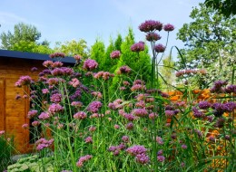 Czy możliwe jest założenie pięknego i funkcjonalnego ogrodu w zaledwie kilka tygodni? Okazuje się, że tak – architekci z pracowni Jardin Architektura Krajobrazu zapraszają nas na spacer po nowoczesnym ogrodzie, który wykonany został w nieco ponad miesiąc. 