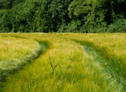Obecny pęd za życiem jest przytłaczający. Nie mamy czasu na odpoczynek, a każdego dnia pogłębiamy się w schematy życia miejskiego. Relaks w naturze jest wymagany od zaraz!