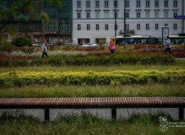 Na Placu Defilad w Warszawie powstało miejsce do wypoczynku z charakterystycznymi replikami ławek z lat 60-tych autorstwa architekta prof. Jerzego Sołtana.Sprawdź.