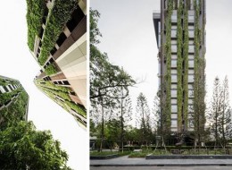 Wprowadzanie zieleni wokół ciasnych budynków mieszkalnych lub instytucji publicznych redukuje wpływ oddziaływania bliskiego sąsiedztwa. Jednym z przykładów może być kompleks zaprojektowany przez firmę architektoniczną Shma w Tajlandii – Ideo Skyle-Morph Sukhumvit w Bangkoku. Autorzy opracowali praktyczne podejście na zintegrowanie wysokiej budowli z okolicą.