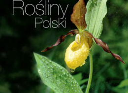 Od wielu lat w swoim życiu zawodowym obcujemy z przyrodą i zajmujemy się jej badaniem. Biologia, a szczególnie świat roślin, fascynowały nas od zawsze i owa fascynacja zadecydowała o wyborze naszej ścieżki zawodowej. Każda roślina ma swoją ciekawą historię, którą pragniemy odkryć przed Czytelnikiem, chcącym widzieć, wiedzieć i rozumieć więcej. Zapraszamy zatem do wspólnego poznawania fantastycznego i tajemnego świata, jaki stanowią otaczające nas rośliny.