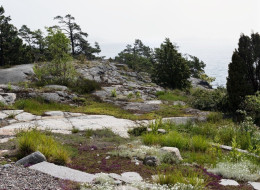 Prywatny ogród położony na archipelagu Sztokholmu został zaprojektowany z zamiarem wkomponowania go w naturalne otoczenie, z dominacją skał i o dużym nachyleniu terenu. Kluczowym elementem ogrodu na archipelagu jest sporej wielkości strefa widokowa, z której rozciąga się widok na panoramę wybrzeża, pełniąca również funkcję rekreacyjną. Projekt ogrodu powstał w 2020 r. w lokalnej pracowni LAND arkitektur.