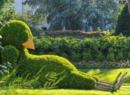 Śpiący kurczak jest dowodem na to, że nawet z najzwyczajniejszych roślin można stworzyć piękne dzieło sztuki. Autorem tego obiektu jest pisarz i ilustrator Claude Ponti, który przygotował ją dla ogrodu botanicznego w Nantes. 