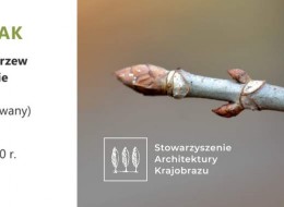 SAK zaprasza na warsztaty pt. Rozpoznawanie drzew i krzewów w stanie bezlistnym (poziom zaawansowany)