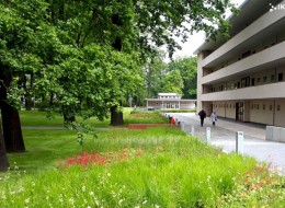 Modernistyczne osiedle WUWA to architektoniczna wizytówka Wrocławia. W końcu nadszedł czas i na zagospodarowanie przestrzeni wokół budynków. dokonała tego pracownia IKROPKA