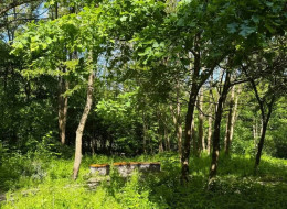 Park Aleksandry Północ, położony na styku ulic Jerzmanowskiego, Ćwiklińskiej, Bieżanowskiej i Telimeny, to przykład rewitalizacji, której głównym celem było zachowanie naturalnego charakteru przestrzeni. Projekt, zrealizowany przez Zarząd Zieleni Miejskiej w Krakowie, nie dążył do radykalnej transformacji istniejącego środowiska, lecz do jego subtelnej adaptacji na potrzeby mieszkańców.