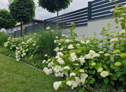 Ogród o powierzchni 1400 m2 pod Krakowem to idealne połączenie minimalizmu i elegancji,
która przejawia się w zakomponowanych roślinach i użytych w projekcie materiałach.
Główną ideą projektową było stworzenie uporządkowanej i praktycznej w użytkowaniu
przestrzeni, w otoczeniu zieleni bogatej w kontrasty.