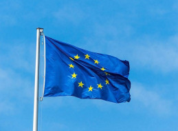 Europarlament wraz z Europejskim Komitetem Regionów podjęli inicjatywę w celu wprowadzenia zmian do projektu unijnych przepisów dotyczących zwiększania powierzchni zielonych w miastach. Głównym założeniem tych zmian jest konieczność redukcji betonizacji europejskich miast na rzecz zwiększenia ilości obszarów zielonych, które przyczynią się do ochrony środowiska i poprawy jakości życia mieszkańców.