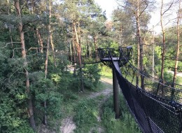 Niebywałą atrakcją dla mieszkańców Warszawy i okolicy może być wizyta w znajdującej się 40 km od stolicy gminie Pomiechówek. To tam jesienią ubiegłego roku otwarty został Park Dolina Wkry. Ten raj dla miłośników aktywności na świeżym powietrzu to doskonały kierunek dla tych, którzy lato spędzają w mieście. Liczne ścieżki spacerowe, łąka motyki czy wreszcie spacer w koronach drzew to tylko część atrakcji czekająca na gości parku.
