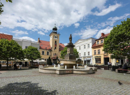 Kolejne miasto na mapie Polski stanie się bardziej zielone. W Rybniku zasadzonych zostanie więcej drzew, przede wszystkim w centrum, które do tej pory było mocno nasłonecznionym brukowanym placem. Chociaż w wielu miejscach ustawione były ławki, miejsca te nie zachęcały do wypoczynku. Teraz, za sprawą dających cień drzew, ma się to zmienić. Pracami związanymi ze zwiększeniem ilości zieleni kieruje Zakład Zieleni Miejskiej w Rybniku.