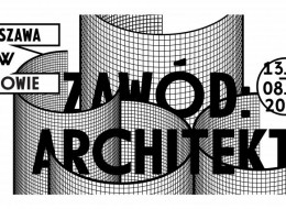 Bohaterami tegorocznej edycji zatytułowanej „Zawód: Architekt” są architekci, a tematem ich role społeczne oraz wpływ na wygląd i funkcjonalność współczesnego miasta. Architekci od początku byli współtwórcami oraz ważnymi odbiorcami WARSZAWY W BUDOWIE, ale tym razem to właśnie ich praca zostanie poddana dyskusji.