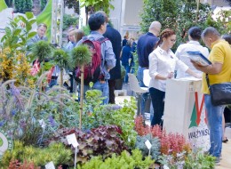 W dniach 2-4 września 2021 r. zielona branża znowu spotka się w Warszawie podczas 28. Międzynarodowej Wystawy ZIELEŃ TO ŻYCIE & FLOWER EXPO POLSKA.  