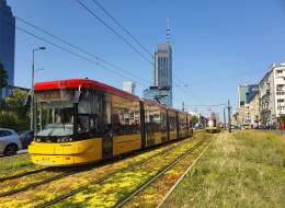 W centrum Warszawy powstaje coraz więcej zielonych torów tramwajowych. Do tej pory tego typu inwestycje były realizowane w obszarach nieco oddalonych od Śródmieścia, teraz stołeczny Zarząd Transportu Miejskiego zazieleni Aleje Jerozolimskie i Jana Pawła II. Dzięki nowemu etapowi nasadzeń w Warszawie będzie już 28 km zielonych torów i nie będzie to jeszcze koniec prac. Długość tramwajowej rabaty w centrum wyniesie 1200 m, a jej powierzchnia przekroczy 4000 m2.
