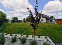 Proste linie, stonowane kolory, niewielka ilość nasadzeń – takie między innymi cechy charakteryzują ogrody założone w minimalistycznym stylu. W tym właśnie duchu powstał w Łańcucie geometryczny ogród, którego projekt został stworzony przez Biuro Projektowe Moniki Magoń.