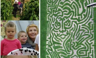 "Polska Architektura 2013 + pomorskie" Motylarnia w Świecie Labiryntów Bliziny