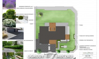Nowoczesny ogród 