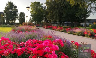 Park w malowniczym Krzczonowie