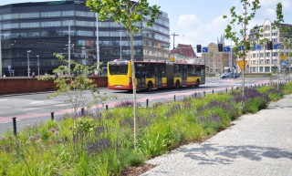 Zieleń przy ul. Oławskiej we Wrocławiu - Polska Architektura XXL 2020 - dolnośląskie