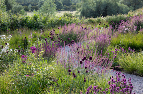 Sielsko-nowoczesny ogród w Cambridgeshire