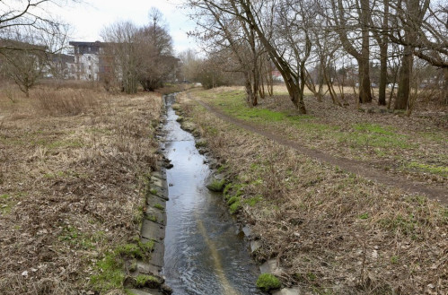 Łódź chroni rzeki. Powstaną plany miejscowe dla dolin Augustówki i Olechówki
