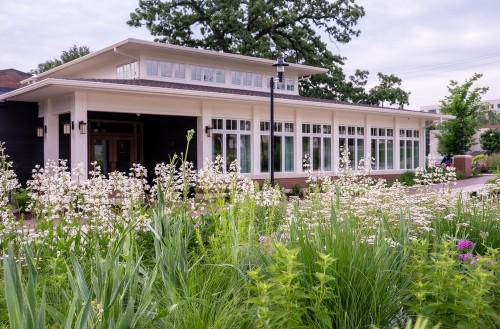 Oak Park Edible Prairie – jadalny ogród preriowy w sercu Iowa