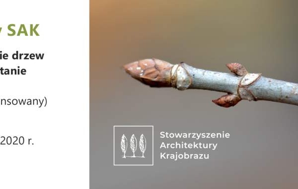 Rozpoznawanie drzew i krzewów w stanie bezlistnym - Zaproszenia
