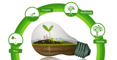 Idea zieleni