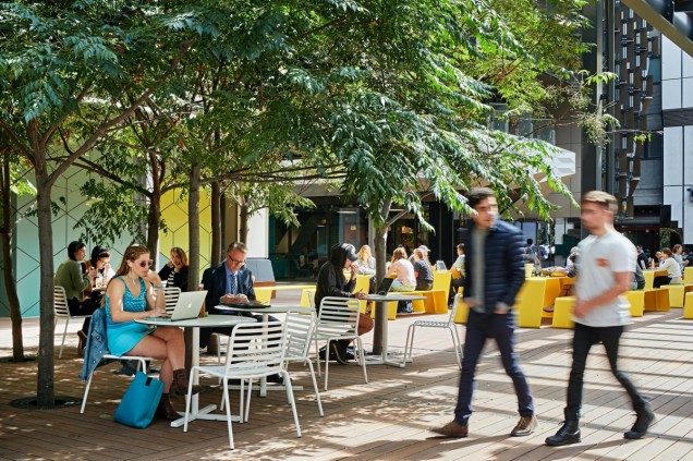 przestrzeń akademicka Melbourne