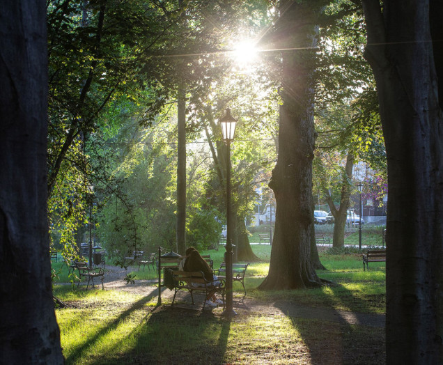 park