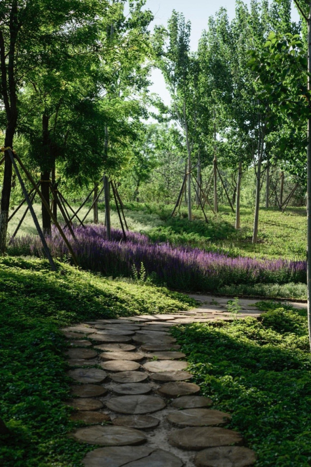 The Central Green Forest Park w Pekinie