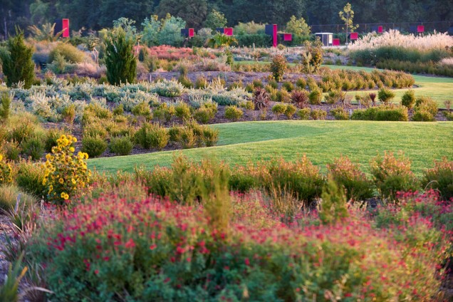 ogród botaniczny w Australii 