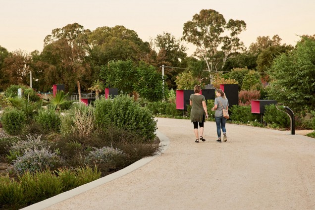 ogród botaniczny w Australii 