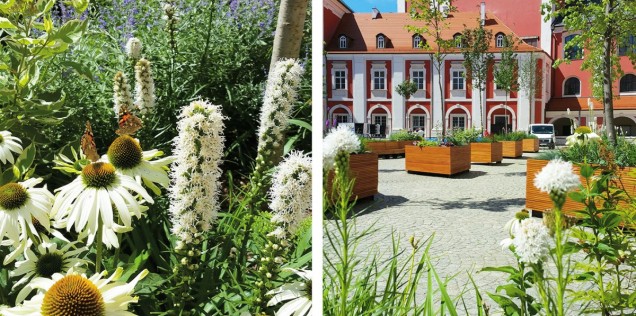 Rośliny na dziedzińcu Urzędu Miasta w Poznaniu 
