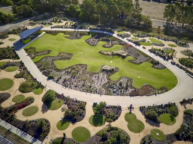 ogród botaniczny w Australii 