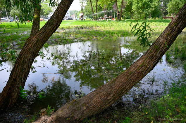 Nowy park kieszonkowy w Białymstoku