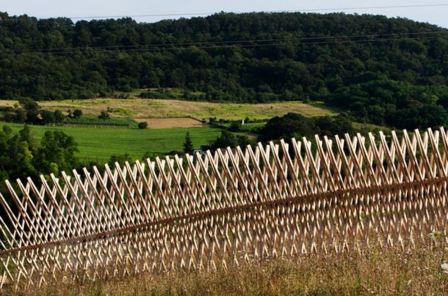 Fot. 6. Ścieżka prowadząca w uprawy kukurydzy, której pomysłodawcami byli Juhász ákos i Eke Dániel (fot. Tamás Bujnovszky).